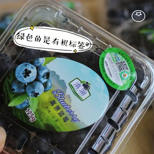 云南滇湖高原有机蓝莓 下单采摘鲜果浓郁酸甜顺丰基地直发125g/盒 商品图0