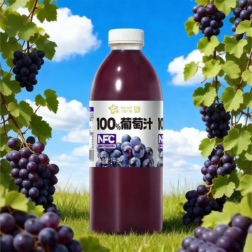 兴龙广缘1kg NFC100%葡萄汁 商品图1