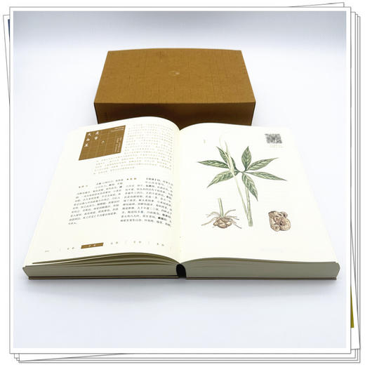 《本草纲目》彩绘精编(珍藏版) 商品图2