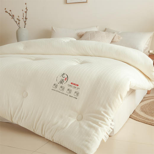 开诚  无染提花大豆被 商品图1