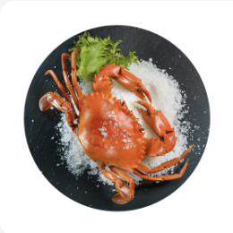 鲜活海蟹大闸蟹肥美肉厚现捕现发