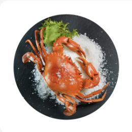 鲜活海蟹大闸蟹肥美肉厚现捕现发 商品图0