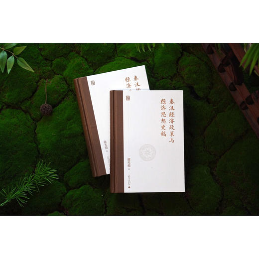 秦汉经济政策与经济思想史稿 商品图2