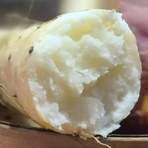 河南焦作温县鲜怀山药 原产地合作直发5斤 商品图0