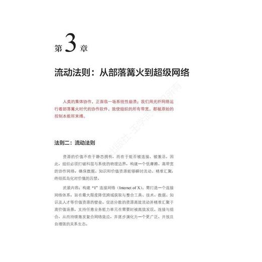 猎人与火种:以数字势能驱动价值涌现 商品图1