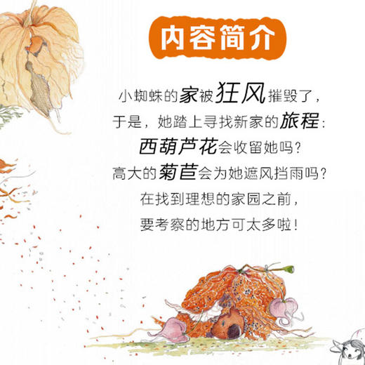 小蜘蛛找房子 商品图2