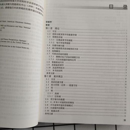 储能:原理.材料和应用(原书第2版) 商品图4