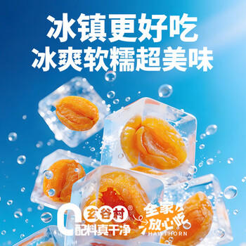 玄谷村杏干80g 0添加剂0脂肪杏肉干无熏硫蜜饯果干果脯孕妇解馋休闲零食 /休闲食品 /蜜饯果干 /杏干 商品图3