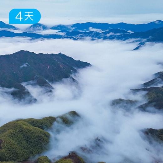 括苍云径｜浙东南第一高峰 25公里入门轻徒步 江浙沪新晋热门徒步线 4日 商品图2