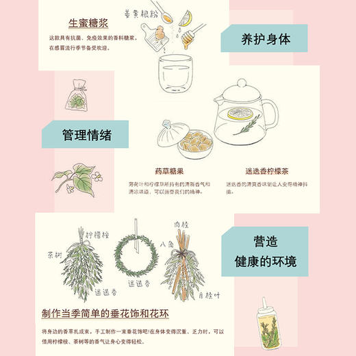 厨房药房:用香料和药草疗愈身心 商品图4