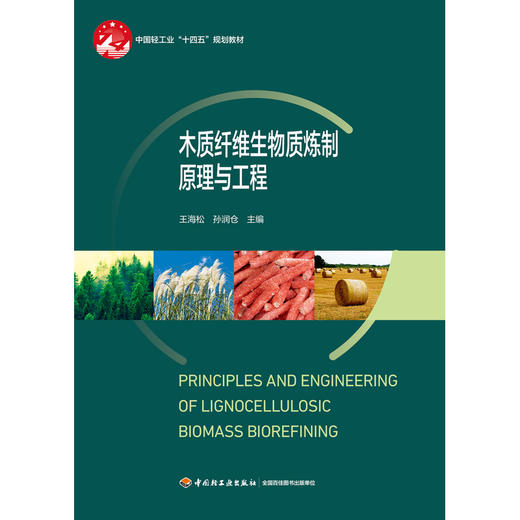 木质纤维生物质炼制原理与工程 商品图1