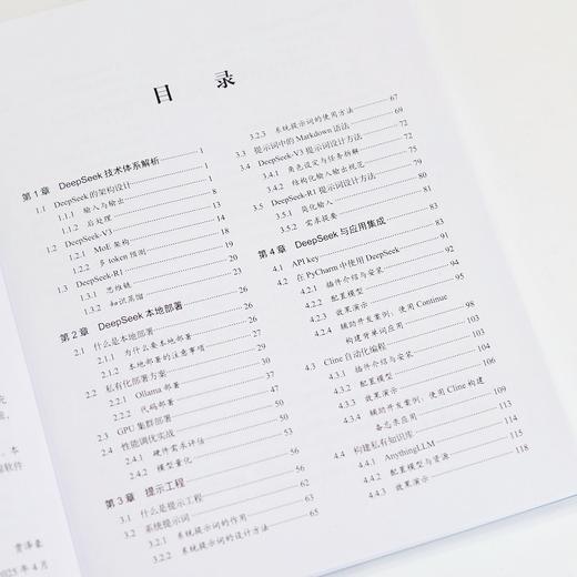 DeepSeek大模型应用开发:从提示工程到智能体实践 商品图2
