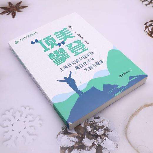 项美攀登:上海市实验学校南校项目化学习实践与探索 商品图1