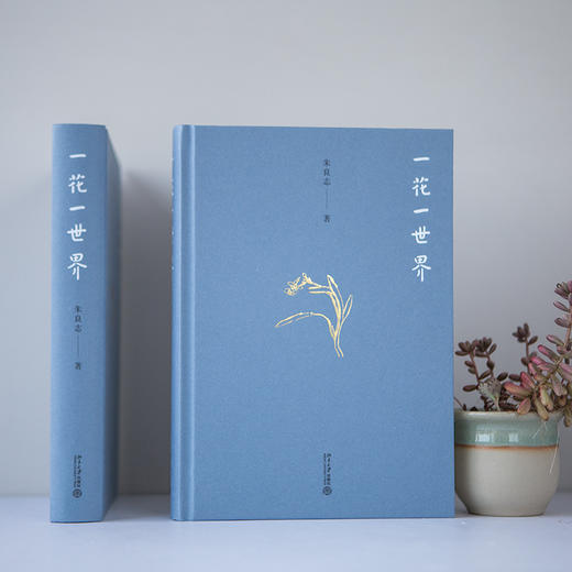 一花一世界 商品图3