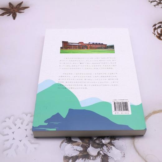 项美攀登:上海市实验学校南校项目化学习实践与探索 商品图2