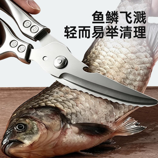 【MAYNOS强力鸡骨剪】 剪骨+剪肉+开瓶盖+刮鱼鳞多合一！ 一刀多用，厨房全能选手 商品图4