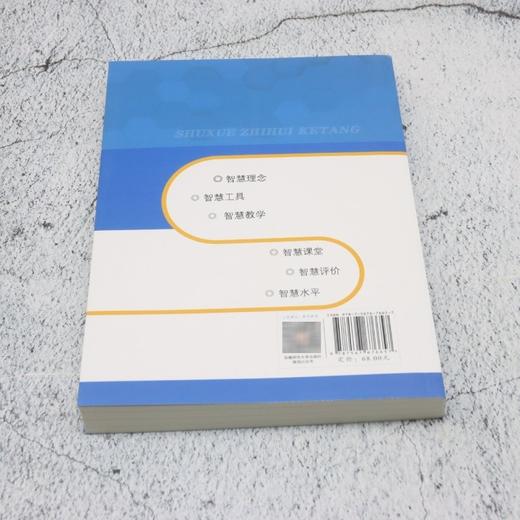 数学智慧课堂 商品图2