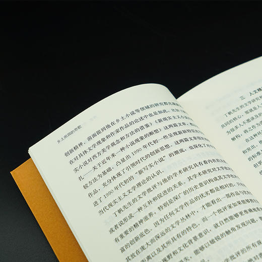 乡土田园的悲歌 //九歌学术文丛   丁帆 著 商品图7