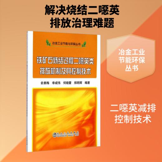 铁矿石烧结过程二噁英类排放机制及其控制技术 商品图1