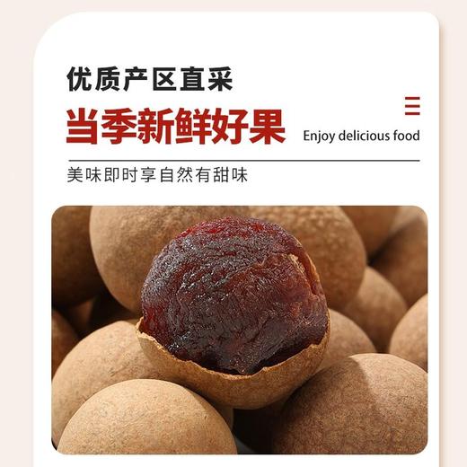 五合民时汇400g桂圆 商品图3