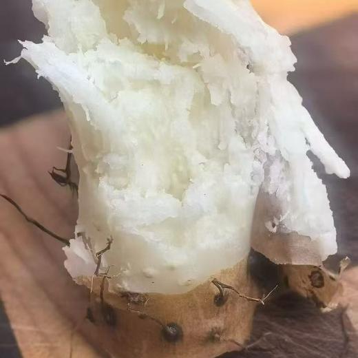 河南焦作温县鲜怀山药 原产地合作直发5斤 商品图3
