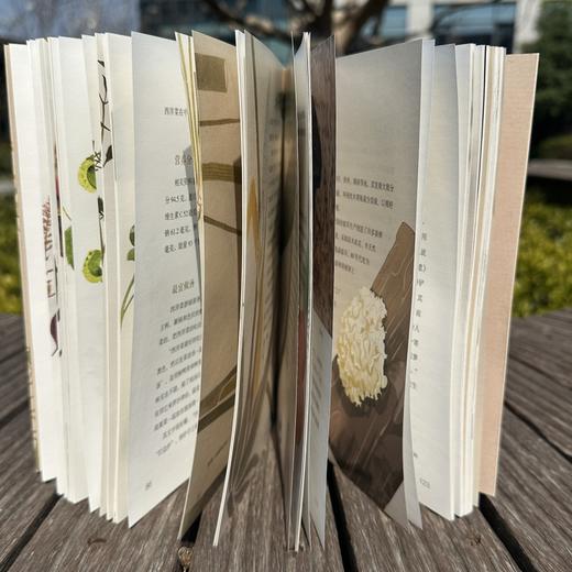 金菜玉蔬:相见欢 商品图4