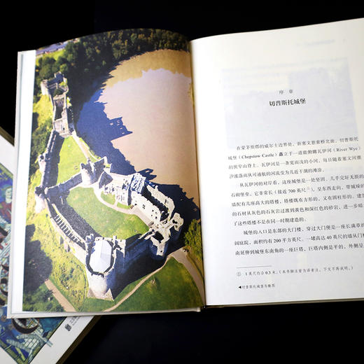 中世纪城堡生活 商品图4