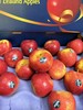 苹果 【新西兰丹硕苹果】 商品缩略图0