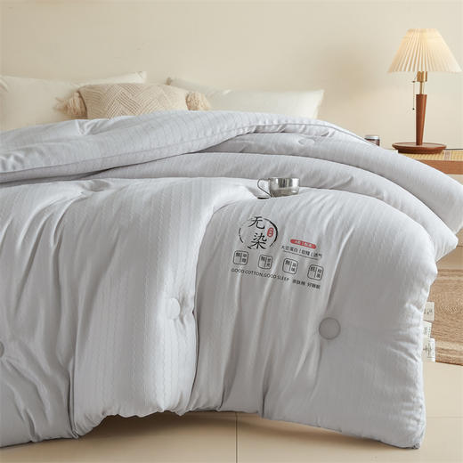 开诚  无染提花大豆被 商品图6