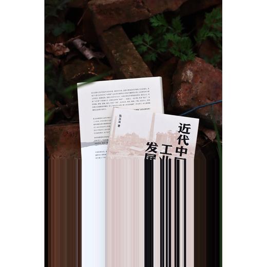 近代中国工业发展史(1860—1916) 商品图2