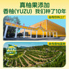 柚香谷宋柚汁300g*15瓶常山柚子汁香柚0脂柚子饮品 商品缩略图3
