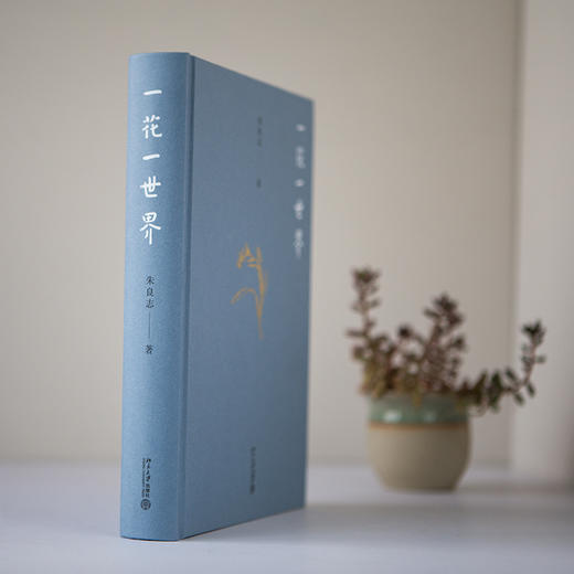 一花一世界 商品图2