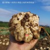 有客瑶来 鲜龙牙百合  100g*3包/5包  高山富硒种植 鲜挖现发 商品缩略图7