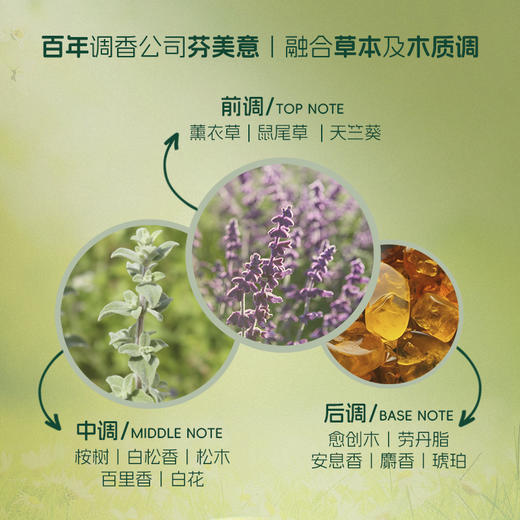 INGRAM'S英格莱恩南非小绿膏原装进口草本香樟乳霜-5.1 商品图2