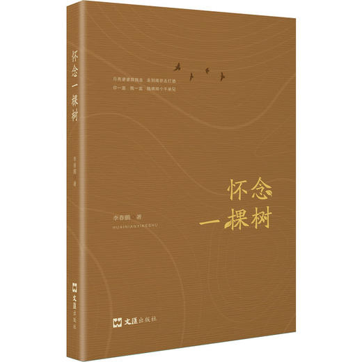 怀念一棵树 商品图0