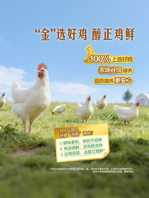 MM 山姆 家乐 金罐自然鸡鲜粉调味料 330g*2 商品图3