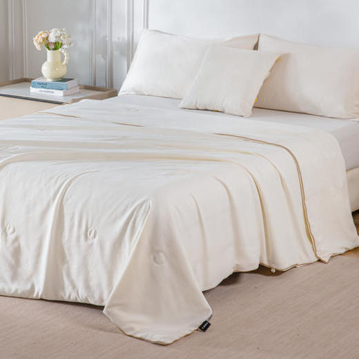 开诚  100%纯蚕丝夏被 商品图0