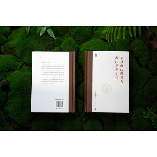 秦汉经济政策与经济思想史稿 商品图3