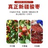 五合民时汇400g新疆骏枣 商品缩略图2