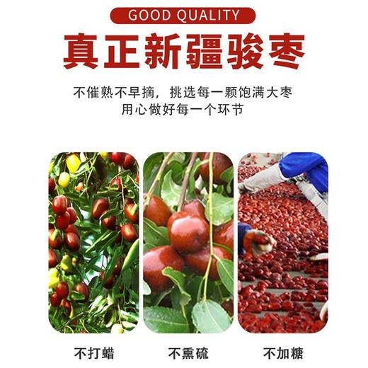 五合民时汇400g新疆骏枣 商品图2