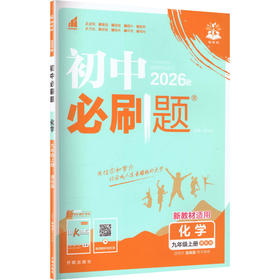 暂AM课标化学9上(鲁教版)/初中必刷题