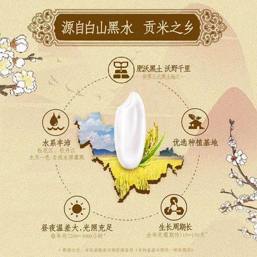 金龙鱼乳玉皇妃雪域沁香贡米5kg 商品图2