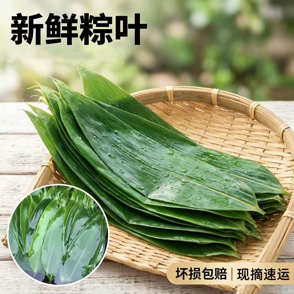 【天然清香❗️新鲜粽叶】现摘速运锁鲜，叶片宽大厚实有韧性，自带天然清香，适配端午包粽日常制作美食，真空包装宽叶家用大号新叶包粽子叶L
