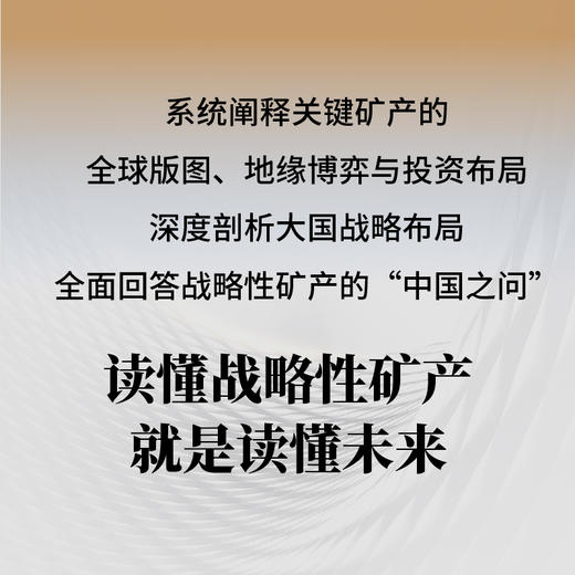 战略性矿产:大国资源竞争与中国方略 商品图1