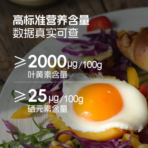 蛋鲜森叶黄素富硒可生食鸡蛋60枚【分仓直发，72小时发货，周末节假日不发货】 商品图3