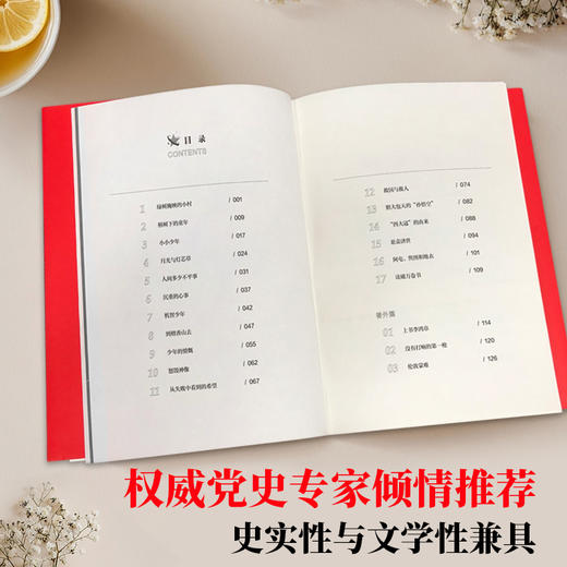 少年孙中山 商品图2