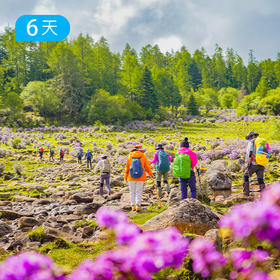 第二届 尼汝花季徒步节｜六月限定 徒步穿越中国最原始的杜鹃花海 邂逅彩虹环绕的七彩瀑布 6日