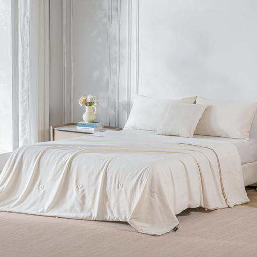 开诚  100%纯蚕丝夏被 商品图1