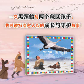 飞吧,黑颈鹤