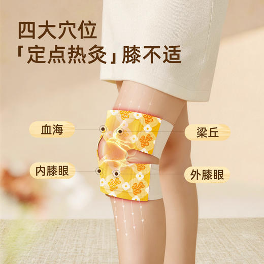 元气达人高良姜骨碎补护膝宝  点位热灸  告别膝凉  远离老寒腿 商品图1